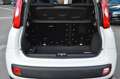 Fiat Panda Urban 1.0 Hybrid-Elektro"KLIMA"PDC"DAB" Weiß - thumbnail 8