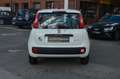 Fiat Panda Urban 1.0 Hybrid-Elektro"KLIMA"PDC"DAB" Weiß - thumbnail 5