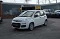 Fiat Panda Urban 1.0 Hybrid-Elektro"KLIMA"PDC"DAB" Weiß - thumbnail 1