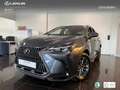 Lexus NX 450h+ Premium+ 4WD Grau - thumbnail 1