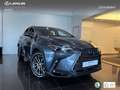 Lexus NX 450h+ Premium+ 4WD Grau - thumbnail 12