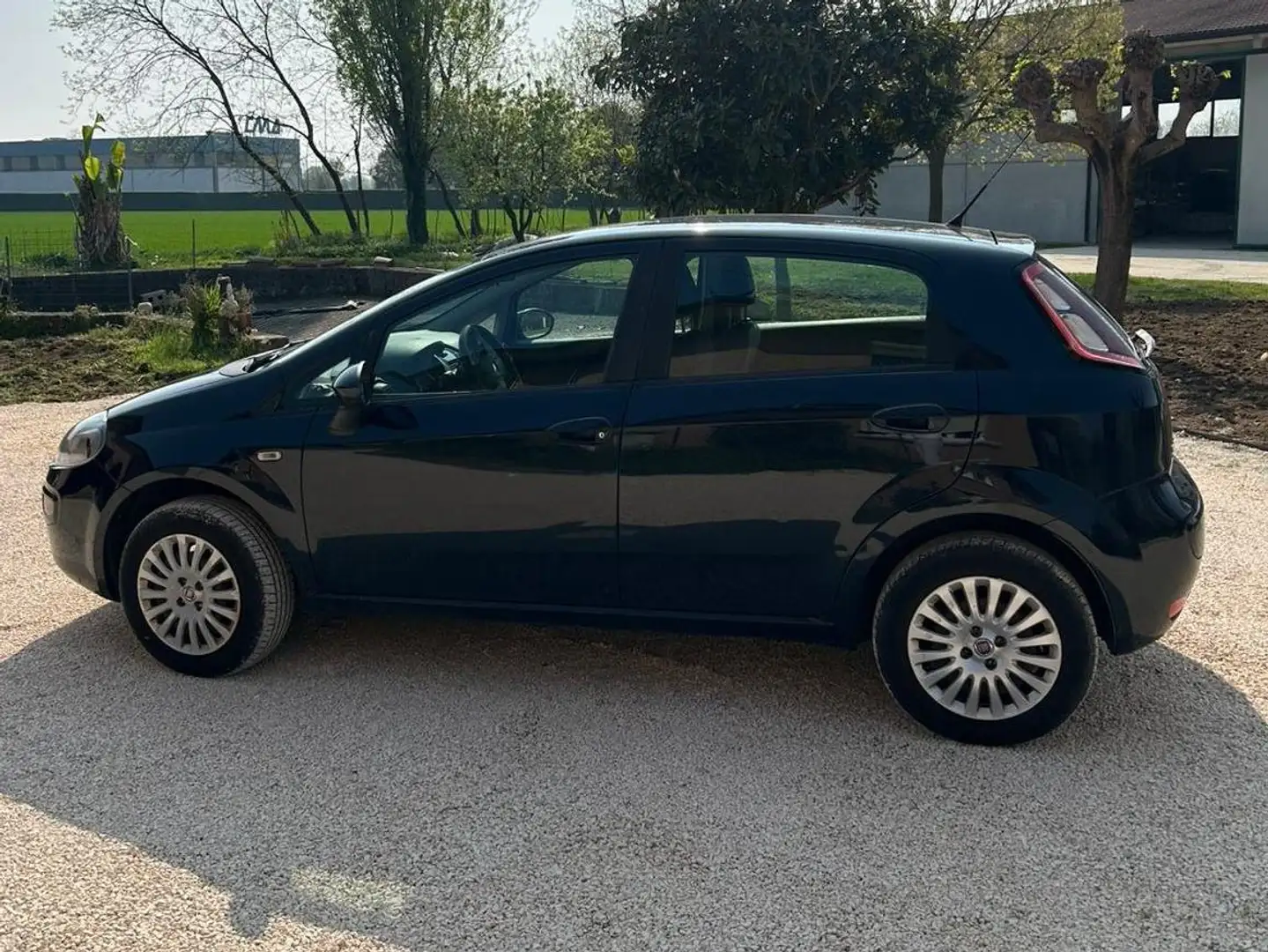 Fiat Punto Evo Fiat Punto Blu/Azzurro - 2