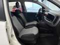 Fiat Panda Van Pop 1.2 51kW (69CV) E6 Blanco - thumbnail 13