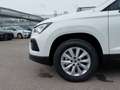 SEAT Ateca Reference Edition 1.0 TSI Weiß - thumbnail 6