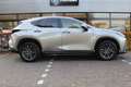 Lexus NX 450h+ AWD Luxury Line Plug-in Hybrid | Rijklaar | Afn.tr Grau - thumbnail 7