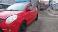 Kia Picanto 1.1 Cool  / TÜV NEU/ GARANTIE 24 Rosso - thumbnail 6