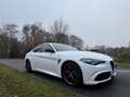 Alfa Romeo Giulia 2.9 V6 Quadrifoglio my21, Squadra, Subliem!!! Wit - thumbnail 4