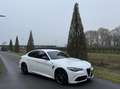 Alfa Romeo Giulia 2.9 V6 Quadrifoglio my21, Squadra, Subliem!!! Wit - thumbnail 34