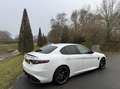 Alfa Romeo Giulia 2.9 V6 Quadrifoglio my21, Squadra, Subliem!!! Wit - thumbnail 33