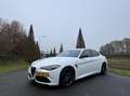 Alfa Romeo Giulia 2.9 V6 Quadrifoglio my21, Squadra, Subliem!!! Wit - thumbnail 36