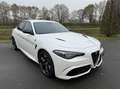 Alfa Romeo Giulia 2.9 V6 Quadrifoglio my21, Squadra, Subliem!!! Wit - thumbnail 24