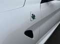 Alfa Romeo Giulia 2.9 V6 Quadrifoglio my21, Squadra, Subliem!!! Wit - thumbnail 18