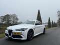 Alfa Romeo Giulia 2.9 V6 Quadrifoglio my21, Squadra, Subliem!!! Wit - thumbnail 2
