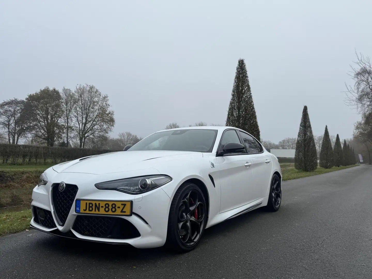 Alfa Romeo Giulia 2.9 V6 Quadrifoglio my21, Squadra, Subliem!!! Wit - 2