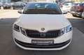 Skoda Octavia 1.6 TDI Combi  Style Limited TDI Weiß - thumbnail 2