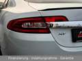 Jaguar XF 5.0 V8 Premium Luxury aus 2. Hand + TOP!!! Weiß - thumbnail 28