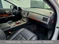 Jaguar XF 5.0 V8 Premium Luxury aus 2. Hand + TOP!!! Weiß - thumbnail 21