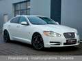 Jaguar XF 5.0 V8 Premium Luxury aus 2. Hand + TOP!!! Weiß - thumbnail 1