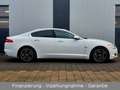 Jaguar XF 5.0 V8 Premium Luxury aus 2. Hand + TOP!!! Weiß - thumbnail 2