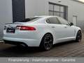 Jaguar XF 5.0 V8 Premium Luxury aus 2. Hand + TOP!!! Weiß - thumbnail 8