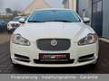 Jaguar XF 5.0 V8 Premium Luxury aus 2. Hand + TOP!!! Weiß - thumbnail 5
