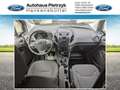 Ford Puma 1.0 EcoBoost Mild Hybrid ST-Linie S/S (EURO 6d) Weiß - thumbnail 7