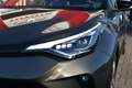 Toyota C-HR 2.0 Hybrid Executive Limited Automaat 184pk | BSM Bruin - thumbnail 18