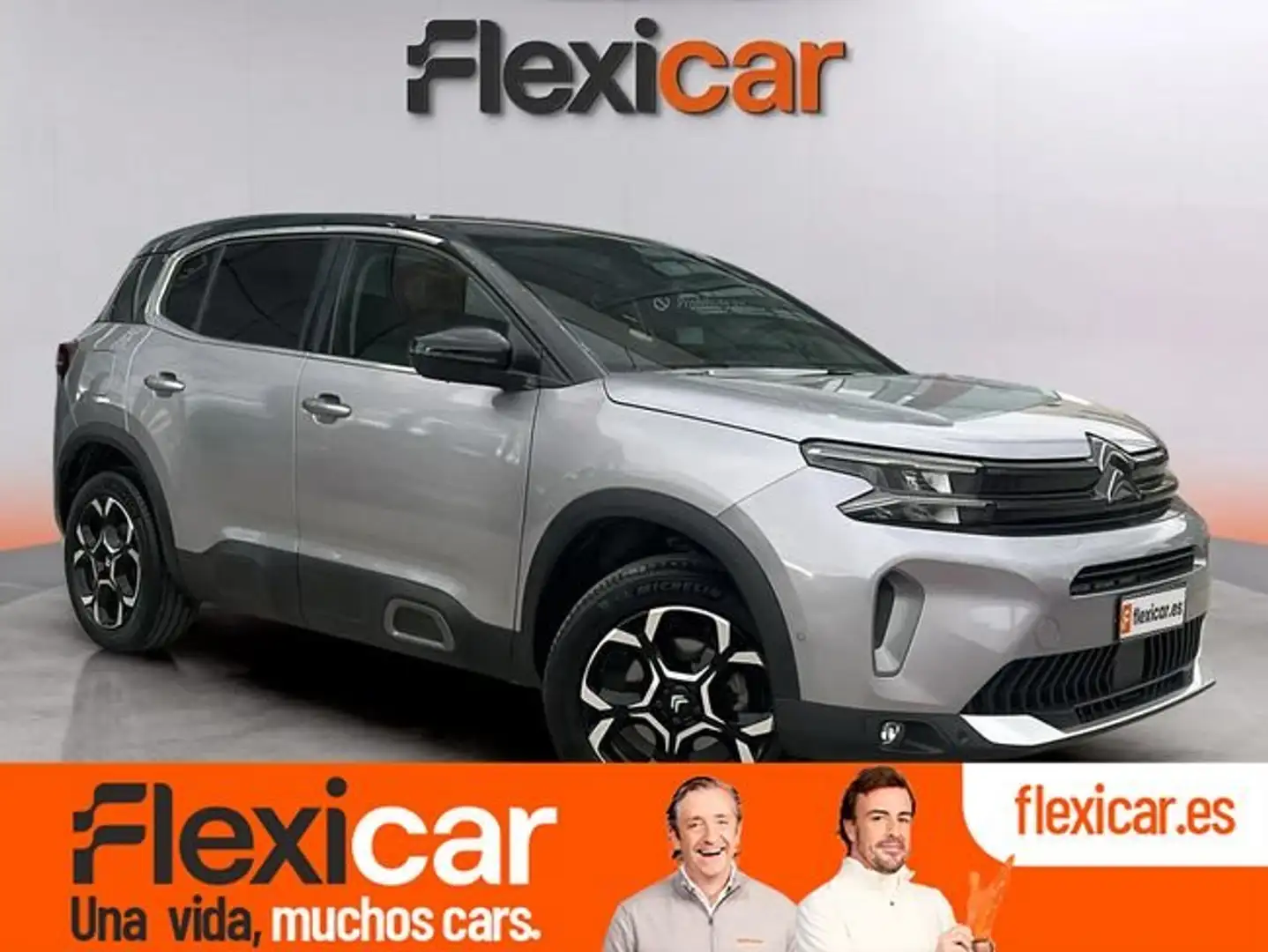 Citroen C5 Aircross BlueHDi S&S Max EAT8 130 Gris - 1