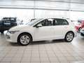 Volkswagen Golf VIII 1,5 TSI Life ACC LED AHK AppConnect Parkpi... Weiß - thumbnail 8