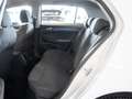 Volkswagen Golf VIII 1,5 TSI Life ACC LED AHK AppConnect Parkpi... Weiß - thumbnail 11
