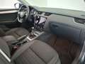 Skoda Octavia 4x4 Ambition Limited TDI Grau - thumbnail 15