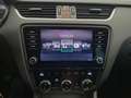 Skoda Octavia 4x4 Ambition Limited TDI Grau - thumbnail 13