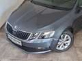Skoda Octavia 4x4 Ambition Limited TDI Grau - thumbnail 3