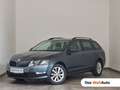 Skoda Octavia 4x4 Ambition Limited TDI Grau - thumbnail 1