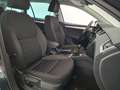 Skoda Octavia 4x4 Ambition Limited TDI Grau - thumbnail 16