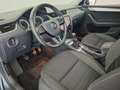 Skoda Octavia 4x4 Ambition Limited TDI Grau - thumbnail 8