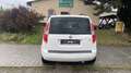 Skoda Roomster Elegance - DSG, 1.Hand Panodach, Navi, Sitzheiz, - Weiß - thumbnail 5
