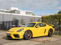 Porsche 718 GT4 4.0 Geel - thumbnail 3