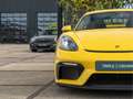 Porsche 718 GT4 4.0 Geel - thumbnail 22