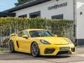 Porsche 718 GT4 4.0 Geel - thumbnail 21