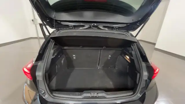 Ford Focus view 10