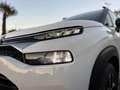 Citroen C3 Aircross BlueHDi 110 S&S Shine *RESTYLING* Bianco - thumbnail 6