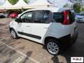 Fiat Panda 1.3 MJT S&S 4x4 Blanco - thumbnail 5