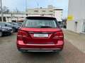 Mercedes-Benz GLE 250 D 4MATIC 9G-TRONIC * TOP ZUSTAND * Rosso - thumbnail 5