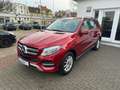 Mercedes-Benz GLE 250 D 4MATIC 9G-TRONIC * TOP ZUSTAND * Rosso - thumbnail 6