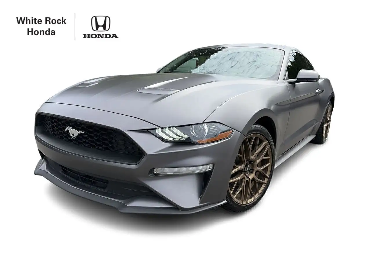 2019 Ford Mustang
