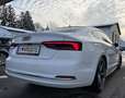 Audi A5 40TDI Sport Weiß - thumbnail 2