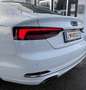 Audi A5 40TDI Sport Weiß - thumbnail 6