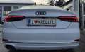 Audi A5 40TDI Sport Weiß - thumbnail 4