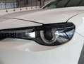 Mazda MX-30 2020 e-Skyactiv 145 ch 5P Weiß - thumbnail 15